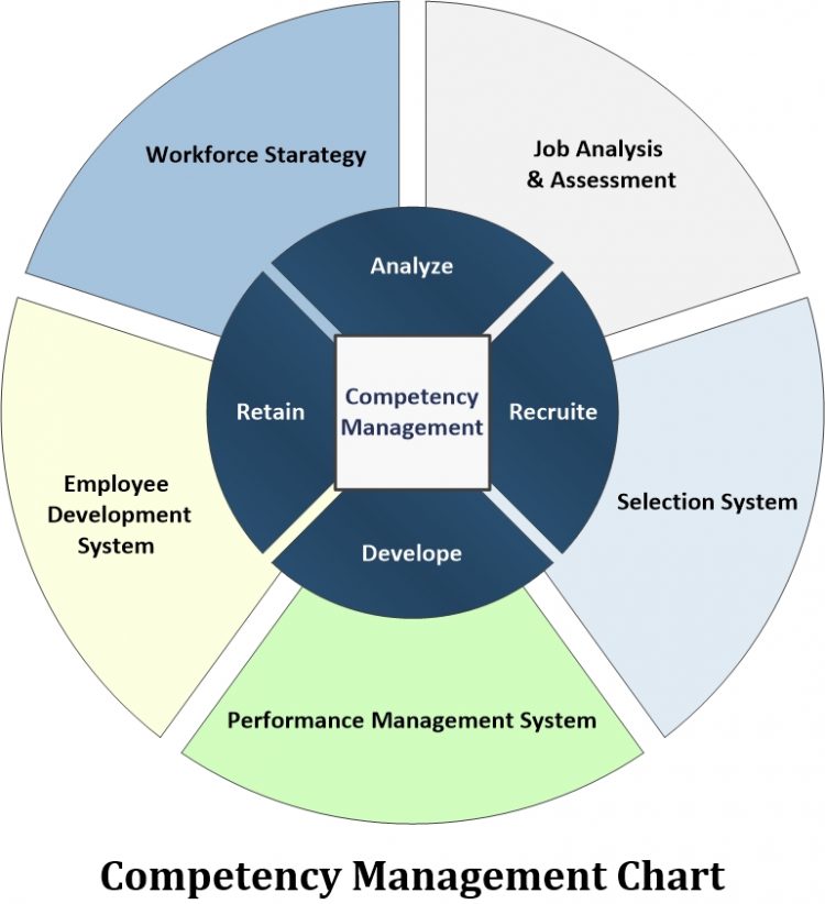 CAMS (Competency Assurance Management System) – STACKOIL